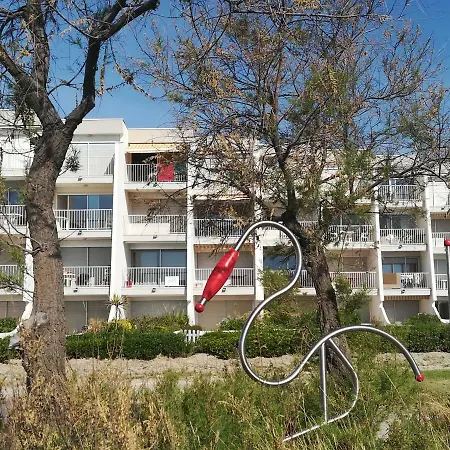Goelands Palavas-les-Flots